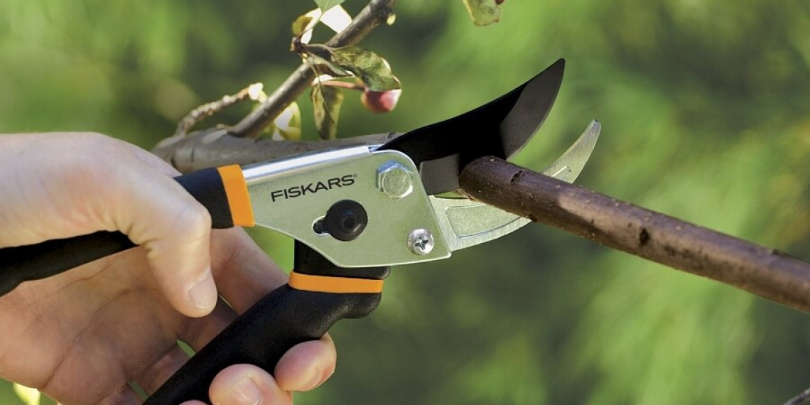 Mikor használjunk metszőollót és mikor ágvágót? Mikor használjunk metszőollót és mikor ágvágót?